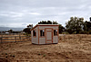 8x10 Shed roof